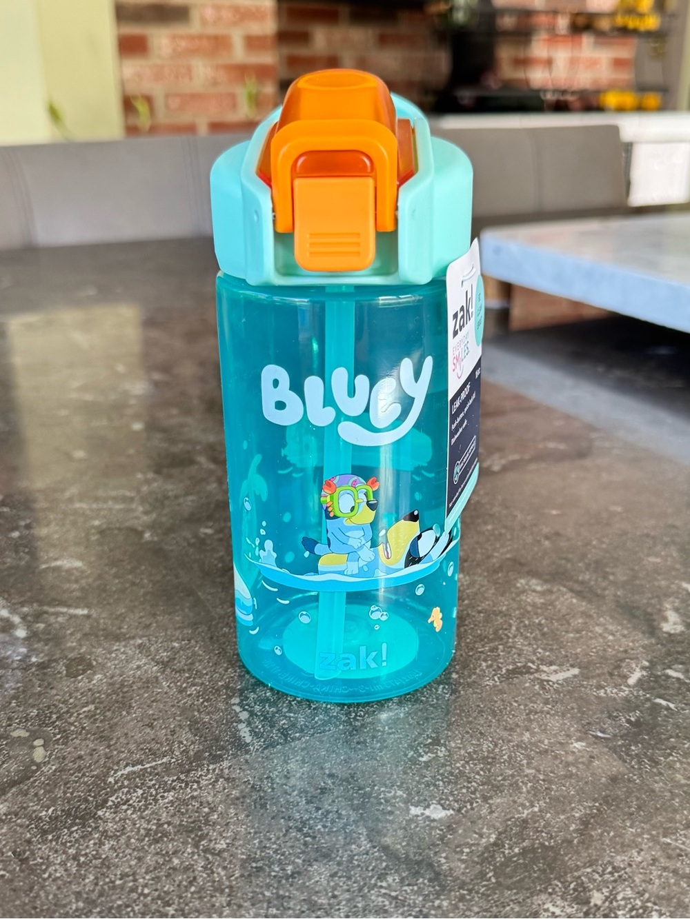 Bluey Teal Kids Water Bottle with Flip Straw